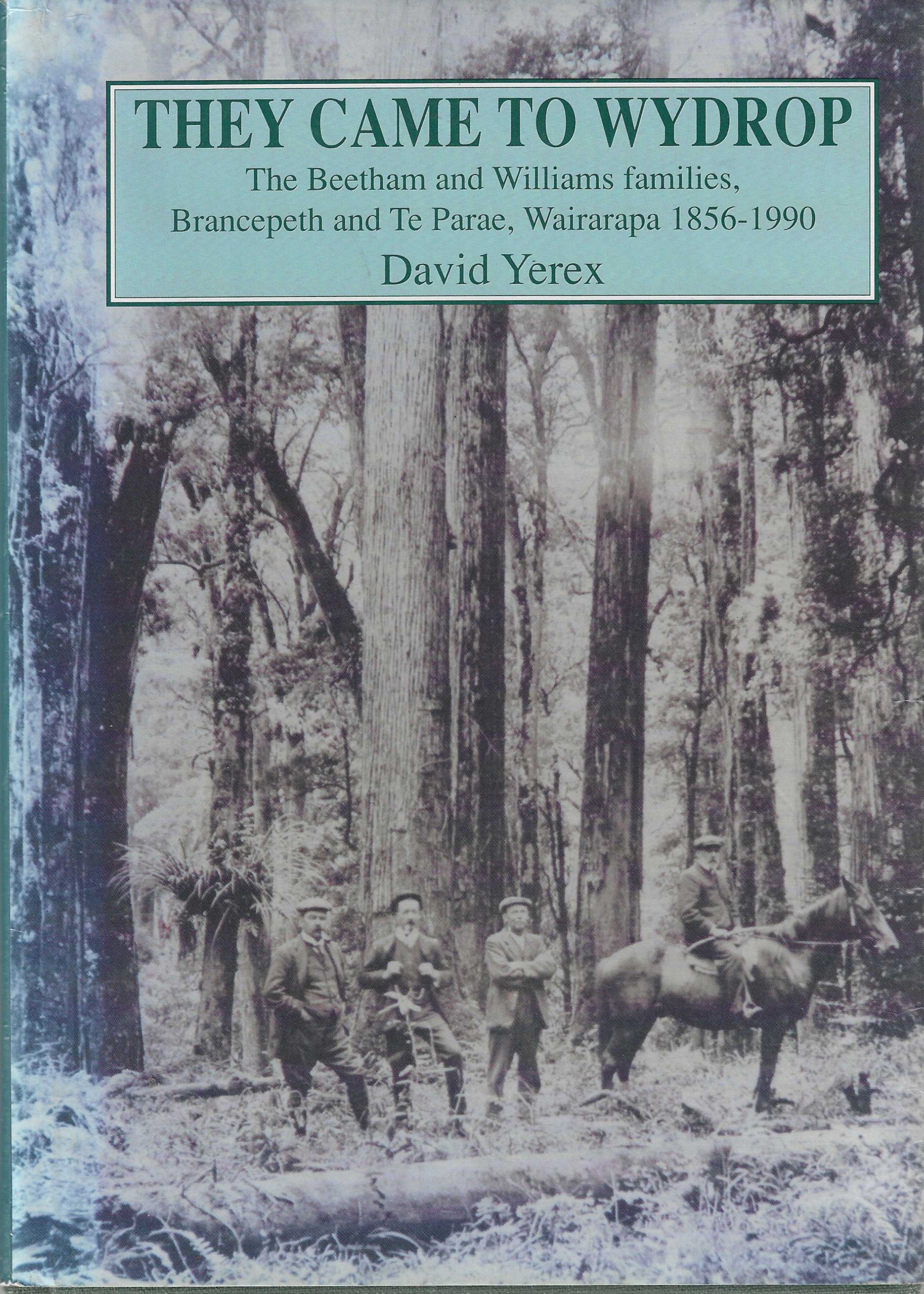 Image for They Came To Wydrop - the Beetham And Williams Familes, Brancepeth And Te Parae, Wairarapa 1856-1990