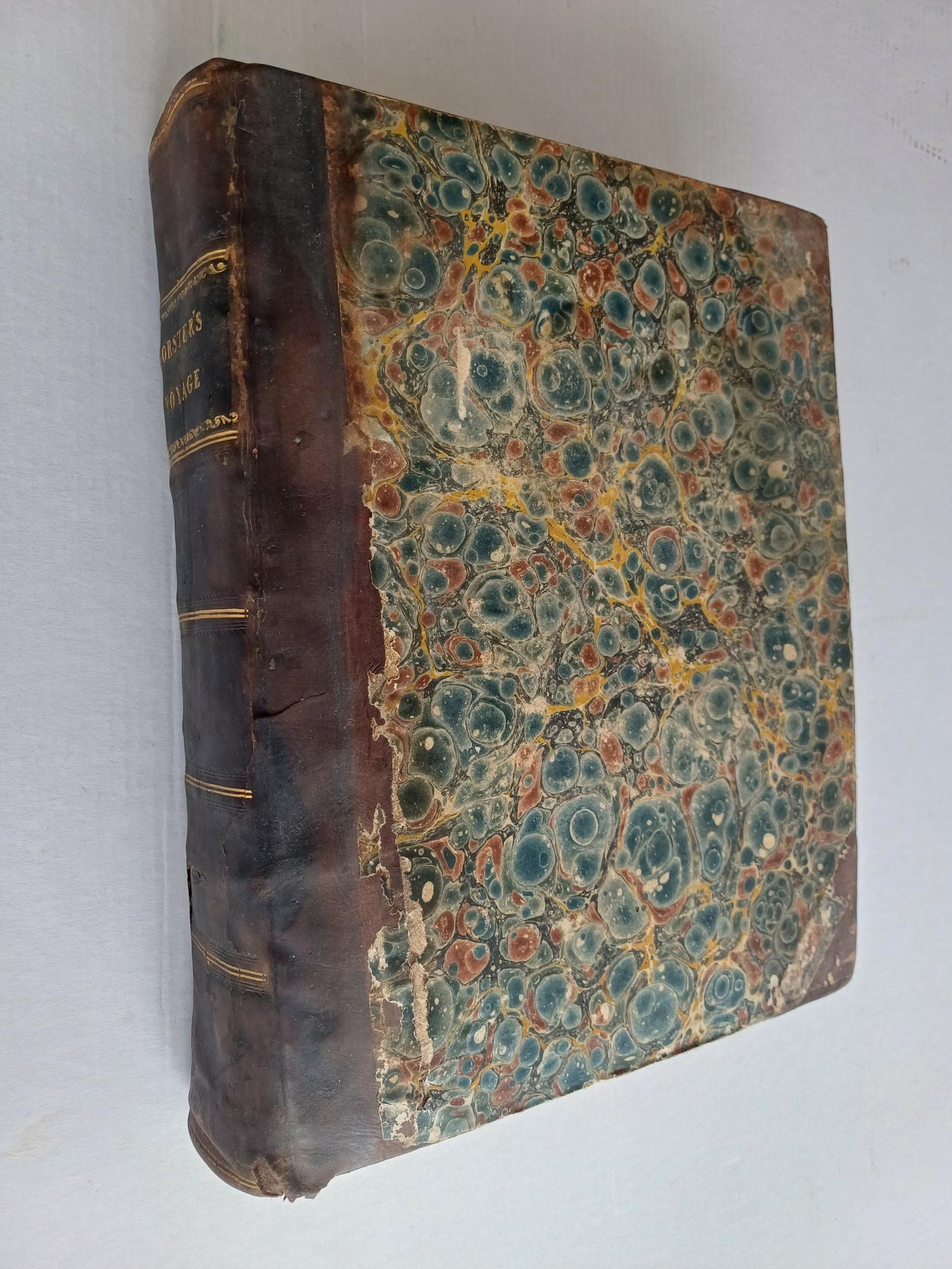 Observations made during a Voyage round the World, on physical geography, natural history, and ethic philosophy, especially on 1. The Earth and its Strata; 2. Water and the Ocean; 3. The Atmosphere; 4. The Changes of the Globe; 5. Organic Bodies; 6. the Human Species