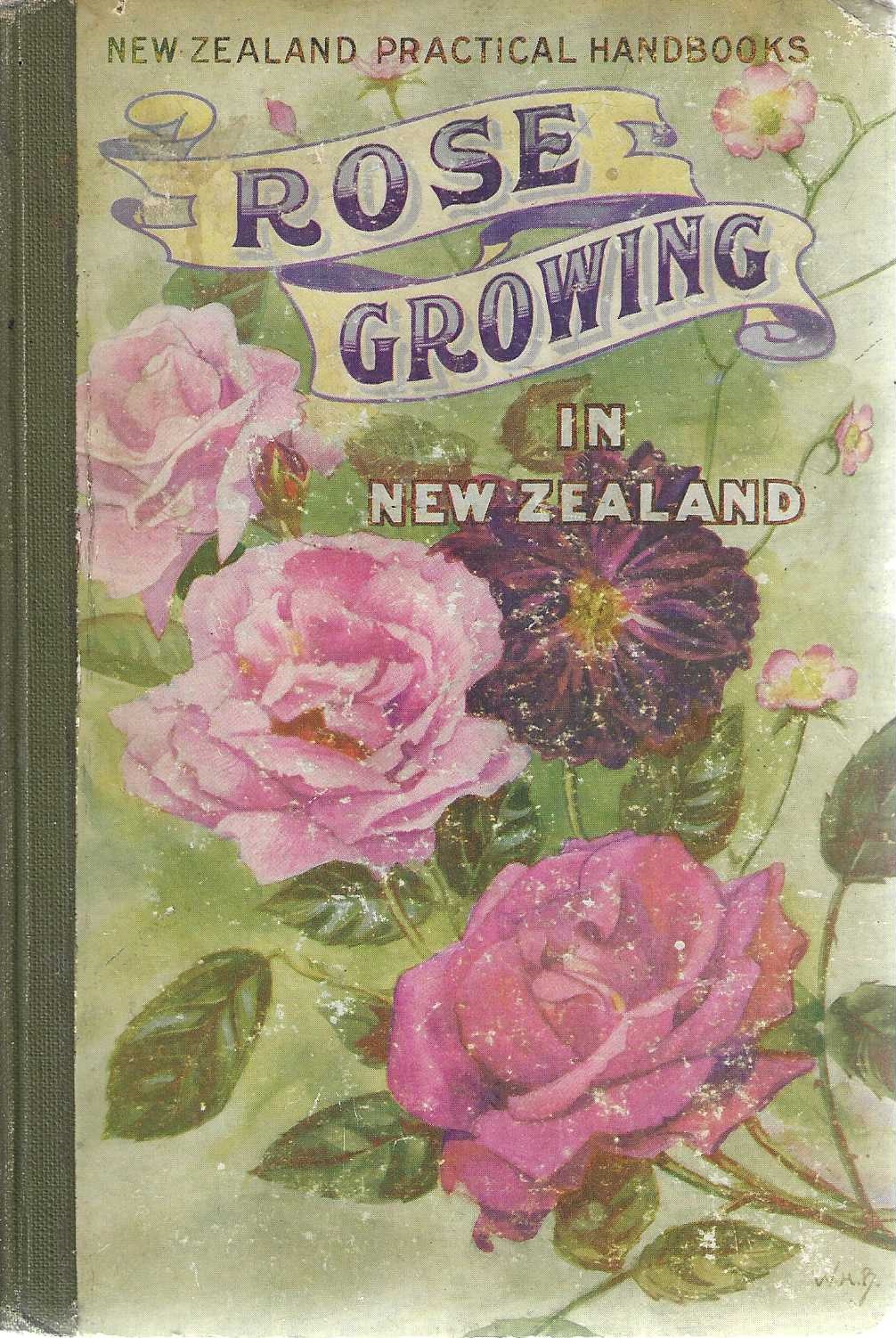 Rose growing in New Zealand